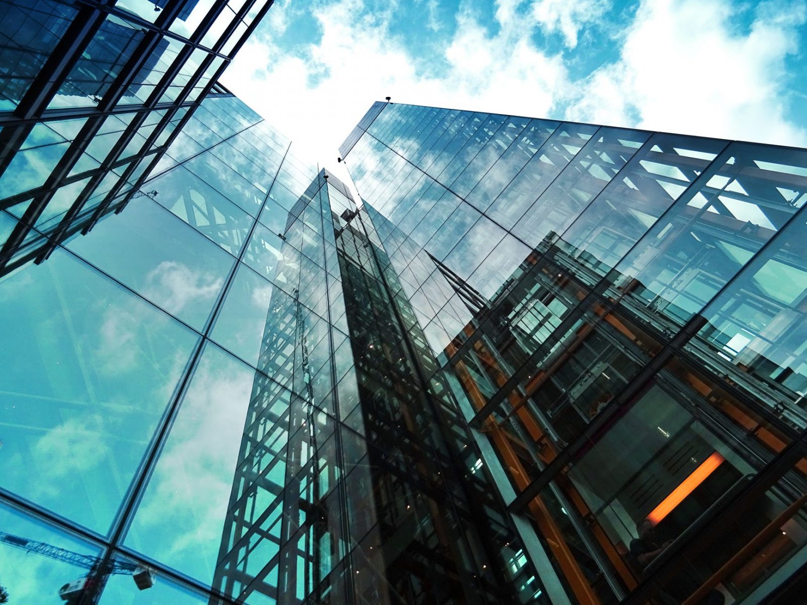 The Importance of Business Intelligence in Company Growth