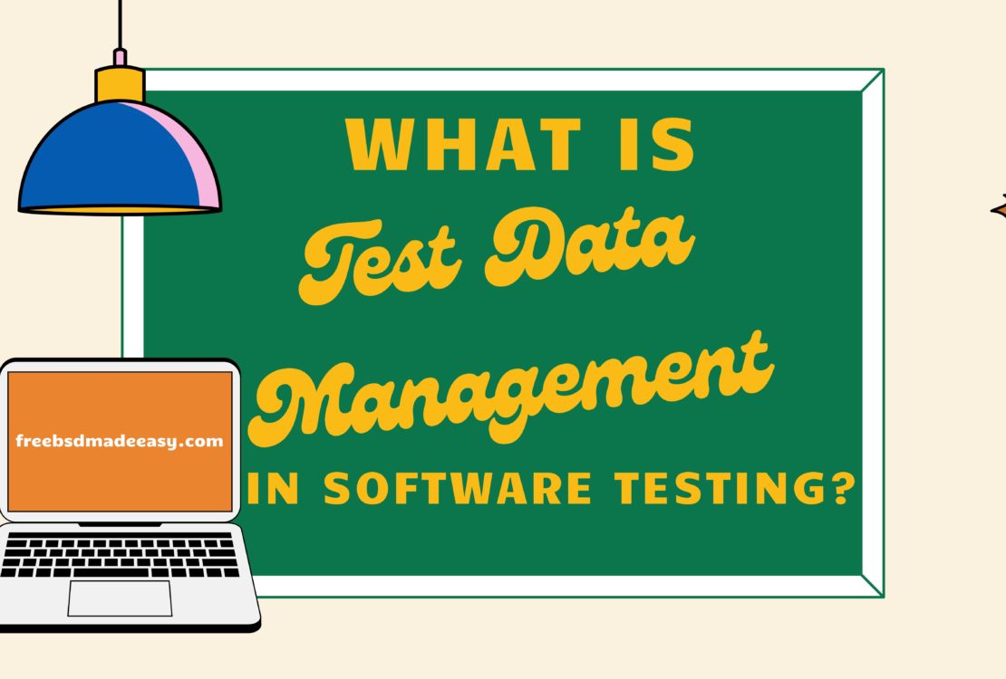 What Is Test Data Management In Software Testing?