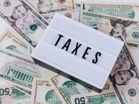 Best Small Business Tax Software
