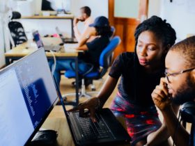 What Does Software Engineering Do